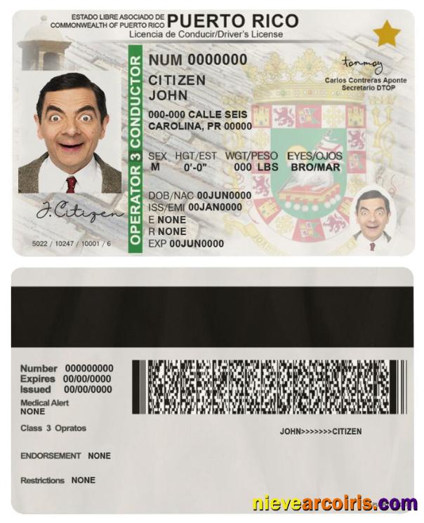 Puerto Rico driving license